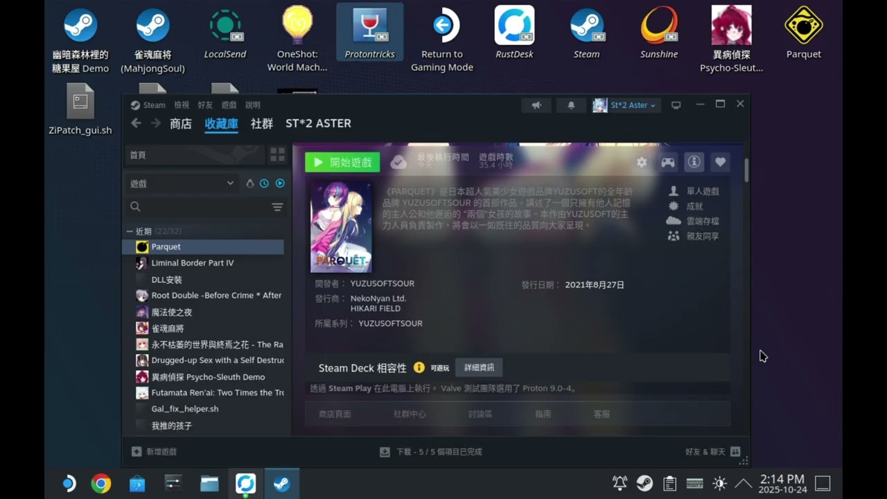 Directshow wmp11 示範遊戲: PARQUET