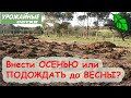 БЕЗ ВРЕДА ЗДОРОВЬЮ, ОГОРОДУ и КОШЕЛЬКУ! Можно ли вносить НАВОЗ осенью?