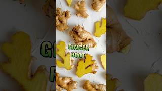 PLANT SUPERFOODS FOR IMPROVED DIGESTION 🌱 #plantbased #burdockro#aloevera #dandelionroot #ginger