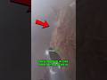 Firefighters Save 2 Cats From Burning Apartment