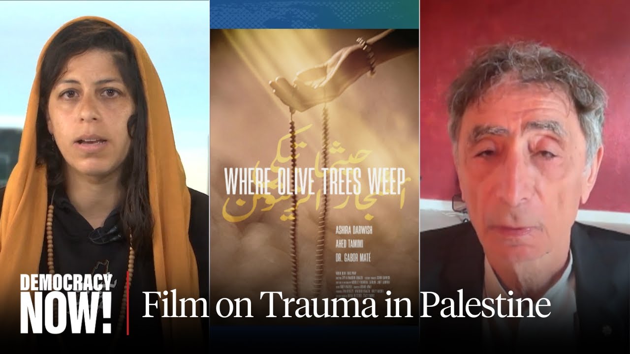 "Where Olive Trees Weep": Dr. Gabor Maté & Ashira Darwish on New Film Exploring Trauma in Palestine