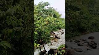 #green#river#trendingshorts