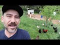 My Wife is Afraid of our ROOSTER/ family vlog