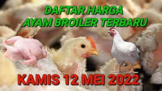 UPDATE HARGA AYAM BROILER HARI INI MINGGU 26 JUNI 2022 || INFO HARGA AYAM POTONG TERBARU HARI INI. 