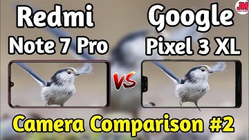 Redmi Note 7 Pro VS Google Pixel 3 XL Camera Test Comparison
