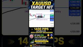 🚨 Gold Breakdown Gave 1400 Pips! 🔥