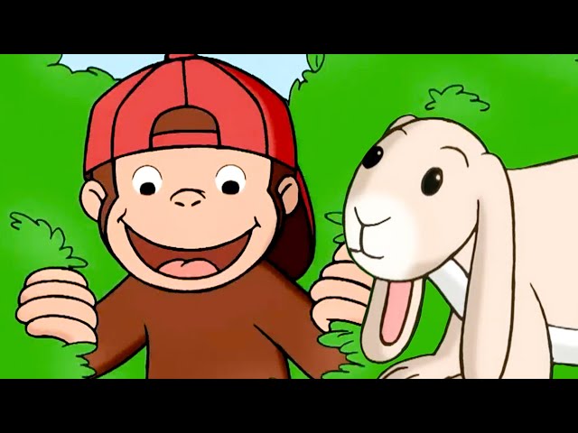 うさぎさんを探せ！ | 全編 🐵 おさるのジョージ