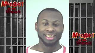 Mugshot Of The Week - Ferret Face