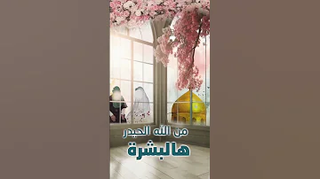 زواج النورين بريمو جديد 2023قريبآ زواج الغالي حاتم عبدالله على محتويات الرائجة لايك اشتراك 