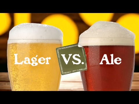 ผลสลากกินแบ่งรัฐบาล วันที่ 1 พย. 2567