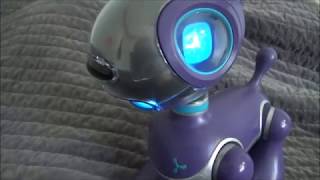 Mio pup bone replacement (for people without the bone) screenshot 4