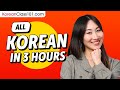 Learn korean in 3 hours  all the korean basics you need