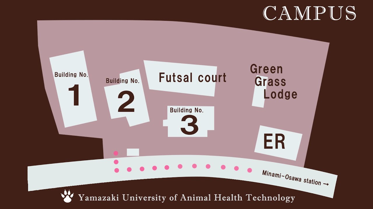 ヤマザキ 動物 看護 大学
