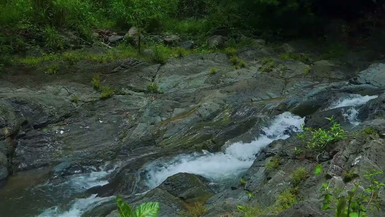 Peaceful River Ambience for Sleep & Mental Clarity | Deep Stress Relief Water Sounds for Calm Night