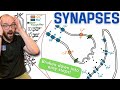 Synapses Broken Down Into Simple Steps