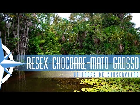 Reserva Extrativista Chocoaré-Mato Grosso - Episódio 49