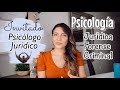 PSICOLOGÍA JURÍDICA / EN QUE PUEDE TRABAJAR UN PSICÓLOGO (Entrevista a psicólogo jurídico)