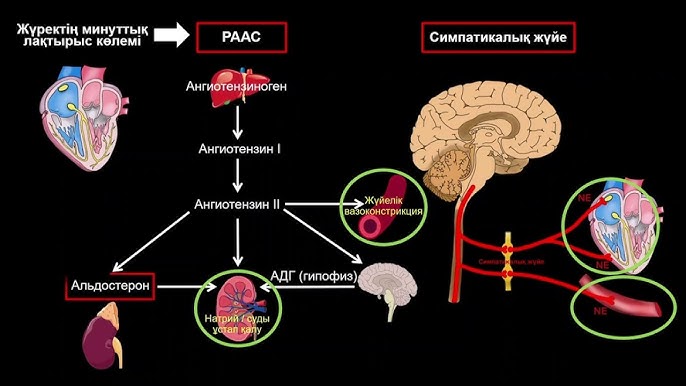 Таңқурай қызбен жыныстық қатынас Жасырын камерамен түсірілген порно