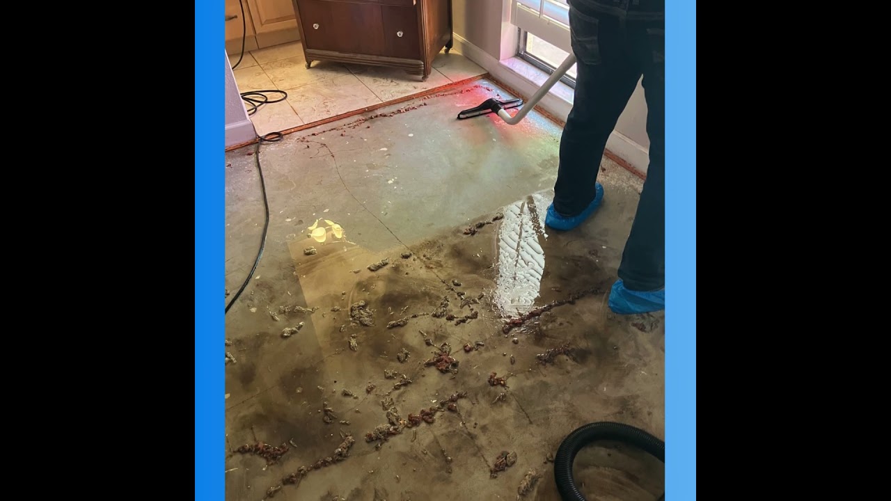 Toilet Overflow Disaster in Sarasota! | RestoPros of Southwest Florida