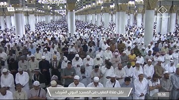 ماتيسر من سورة آل عمران لـ فضيلة الشيخ #عبدالمحسن_القاسم صلاة المغرب الخميس ١٠ ربيع الأول ١٤٤٤هـ