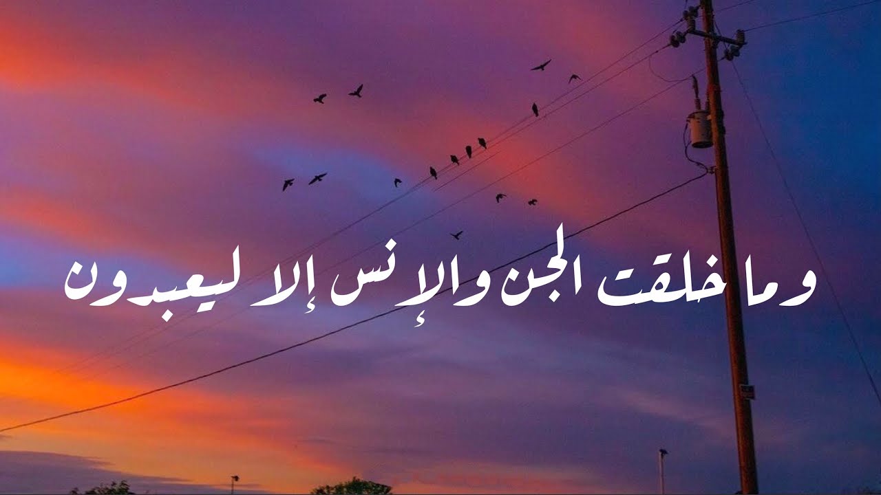 وما خلقت الجن والإنس إلا ليعبدون 🕊 - منصور السالمي - YouTube