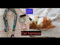 How to make a DIY Cat Harness at Home( 2 mins Only!!) | kitten only |