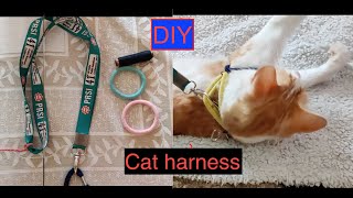 How to make a DIY Cat Harness at Home( 2 mins Only!!) | kitten only |