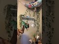 nah he ugly #paperart #dragon #papercrafts #fypシ゚viral