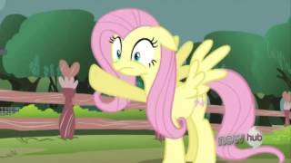 Magic Duel - Using Magic on the Animals