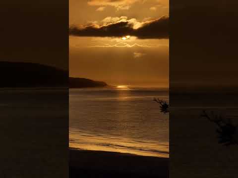 Video Waiting For The Sun