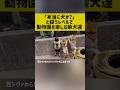 「本当に犬か？」と疑うレベルで動物園を楽しむ柴犬達 #柴犬 #shorts #shortvideo