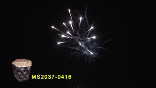 MS2037 0416