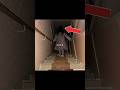 If This Face Peeking At You From The Stairs DON T MOVE Scary Creepypasta Backrooms 
