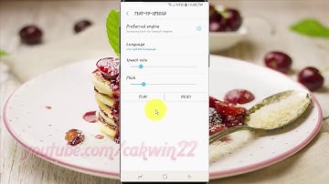 Samsung Galaxy S9 : How to adjust Speech rate Voice Assistant (Android Oreo)