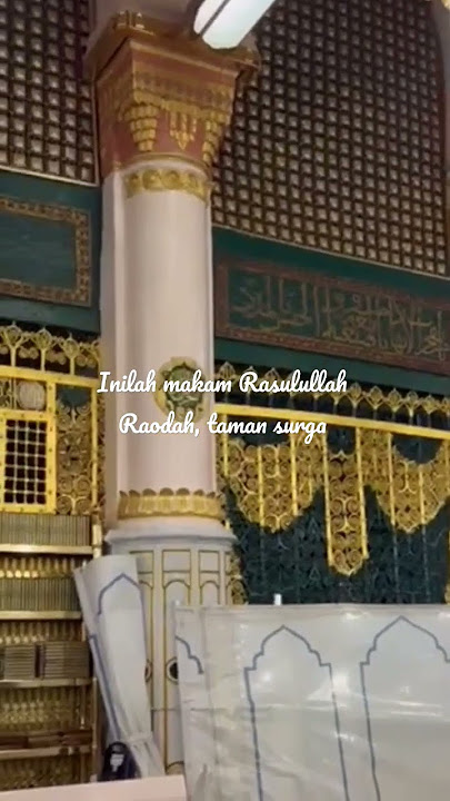 Inilah Makam Rasulullah, Raodah Taman Surga #madinah #masjidnabawi #umroh #raudhah #videoshorts