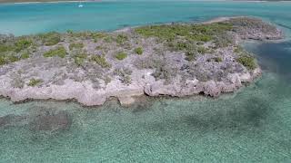 DOUBLE BREASTED CAY, THE BAHAMAS | IRIE CAT