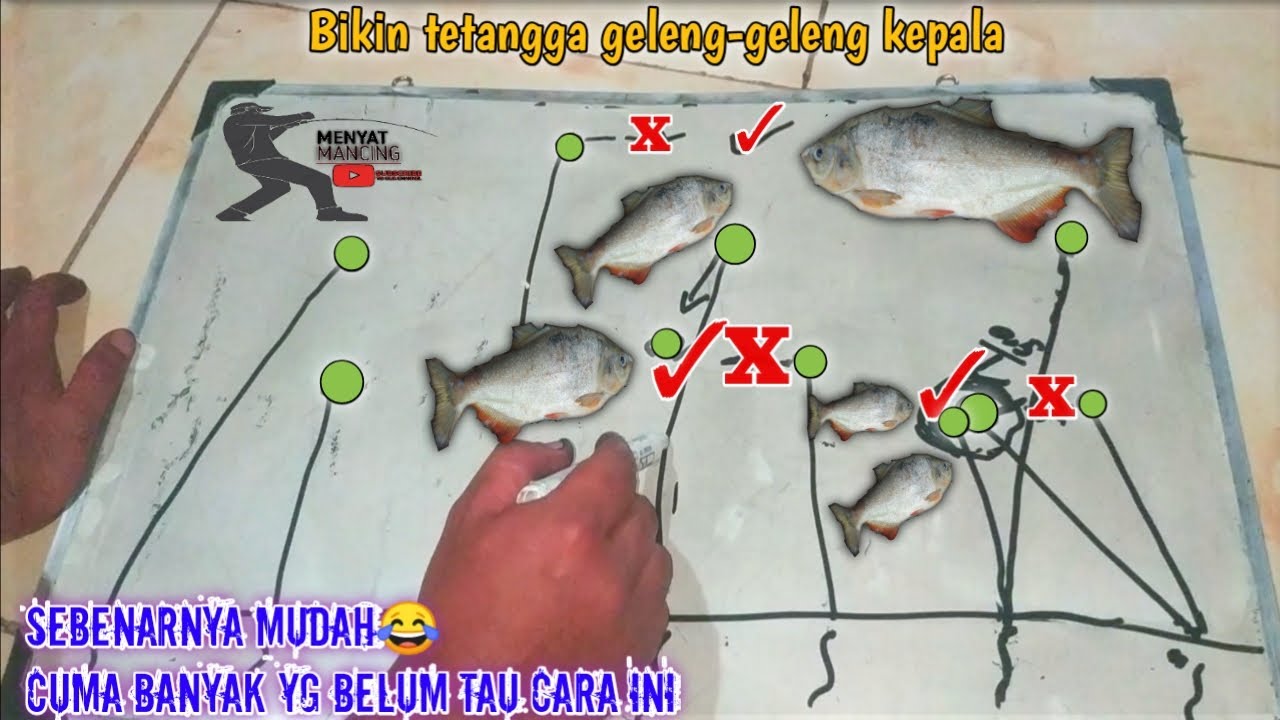 🔴PENTING..!!! TEKNIK JITU MANCING IKAN BAWAL KOLAM HARIAN
