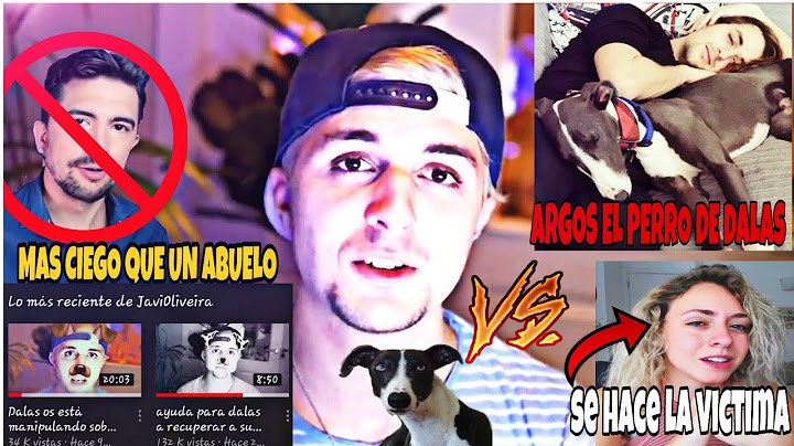 dalasreview VS MIARE project (DONDE ESTA ARGOS) perro de dalas
