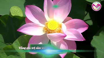 THÁP MƯỜI - PHIM HỘI NGHỊ XÚC TIẾN KÊU GỌI ĐẦU TƯ NĂM 2020