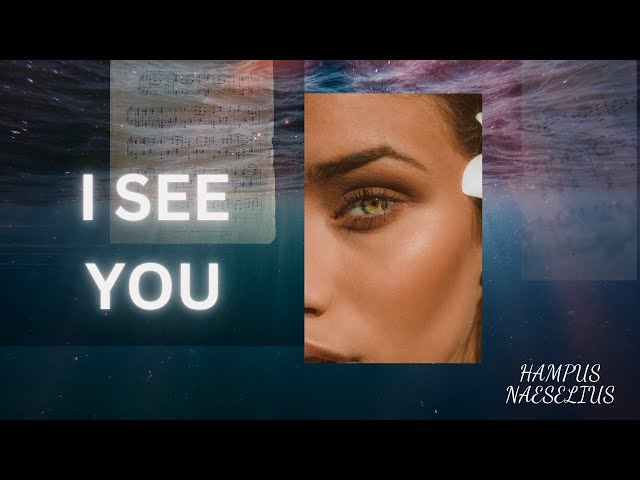 I SEE YOU by: Hampus Naeselius ..empowering and inspiring music about overcoming challenges.