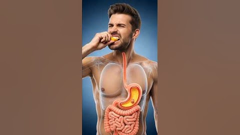 See how lemon interacts with the digestive system #3danimation #animation #humanbody #anatomy