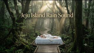 Deep Jeju Forest SleepDeep Jeju Forest Sleep: The Ancient Bijarim Sanctuary (?)#JejuIsland