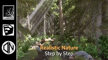 Lumion 2023 - How to Create a Realistic Forest Scene