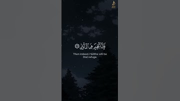 يوم يتذكر الإنسان ما سعى   من سورة النازعات