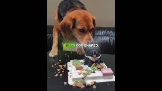 He Missed His Best Friend