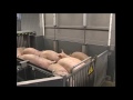 south Australia pork manufacturing