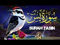 Episode 93 Surah Yaseen Dailymotion recitation tilawat Quran سورہ یاسین تلاوت قران خوبصورت اواز میں