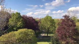 Summer clouds time lapse