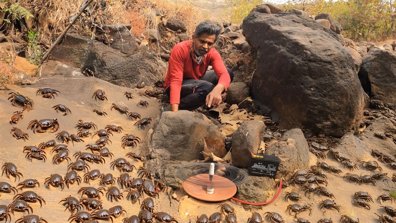 आम्ही बनवले 'खेकडे बोलवण्याचे यंत्र' हे यंत्र चालू करताच थोड्याच वेळात बिळातून निघतात भरपूर खेकडे 