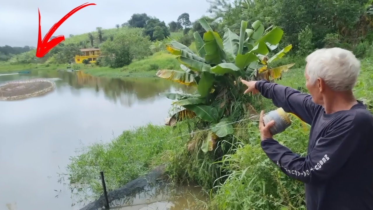 😱 SERÁ QUE A CORDA VAI AGUENTAR ESSE PEIXE ENORME TÁ PRESO NA REDE GIGANTE QUE COLOQUEI NA LAGOA